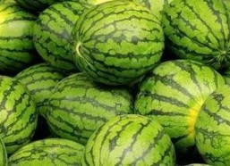 每日大赛 吃瓜入口,吃瓜入口，揭秘娱乐圈幕后风云